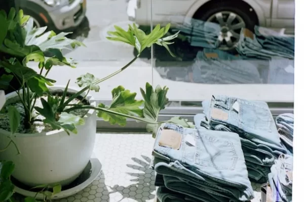 Eine grüne Pflanze in einem weißen Topf steht neben gestapelten Jeans in einem Schaufenster, im Hintergrund parkt ein Auto.