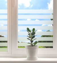 Sichtschutz Fensterfolie mit zeitlosen Formen nach Maß
